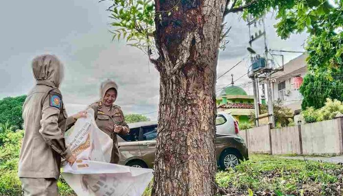 Satpol PP Tanjungpinang Copot Pamflet Dipasang Sembarangan