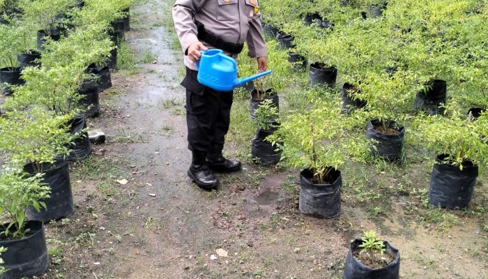 Polsek Batam Kota Manfaatkan Lahan Tidur di Taman Baloi Untuk Program Ketahanan Pangan 