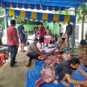 Idul Adha 2025, Surau Al Ikhlas  Sembelih Dua Ekor Sapi Swadaya Masyarakat