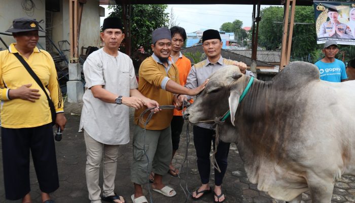 Idul Adha 1446 H, Polresta Tanjungpinang Sembelih 6 Ekor Hewan Kurban