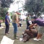 Idul Adha 2025, PT PLN IP UBP Kepri Kurban 3 Ekor Sapi dan 1 Ekor Kambing