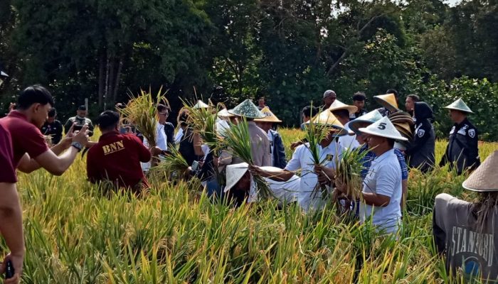 Diduga Ada Penyimpangan, Walikota Tanjungpinang Minta BPN Tak Perpanjang Izin Lahan Terlantar