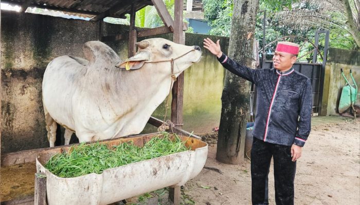 Berbagi Kebahagiaan Perantau Asal Sulsel, Ketua BPW KKSS Kepri Sembelih 1 Ekor Sapi