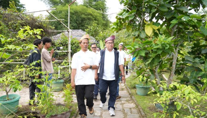 Pacu Pertumbuhan Ekonomi, BP Batam Dorong Pengembangan Agrowisata dan Wisata Bahari
