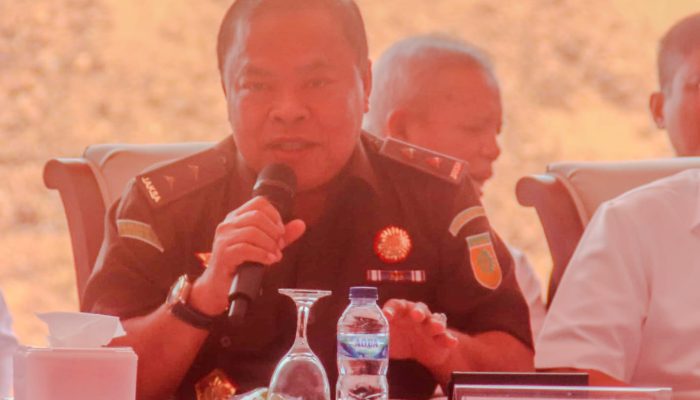 Pemerintah Genjot Tata Kelola Devisa dan Optimalisasi Aset 2025