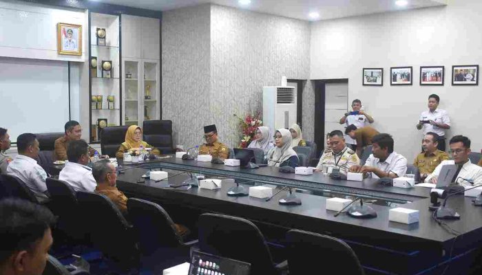 Jaga Kestabilan Harga, Perwakilan BI Kepri Apresiasi TPID Pemko Tanjungpinang