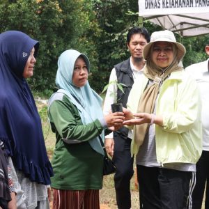 Galakkan Ketahanan Pangan, Pemprov Kepri Bagikan Ribuan Bibit Cabai Gratis 