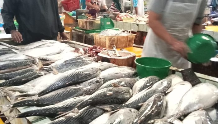 Harga Bawang Merah Jawa Turun, Ikan Tongkol Putih Melambung di Tanjungpinang