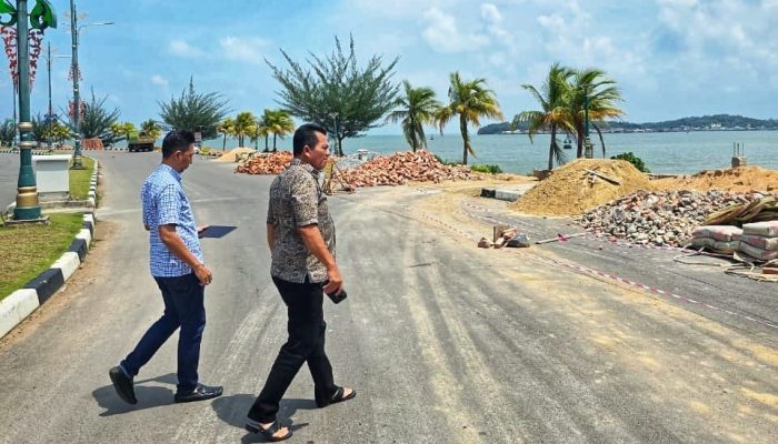Penataan Taman Gurindam 12 Tanjungpinang Capai Progres 16 Persen