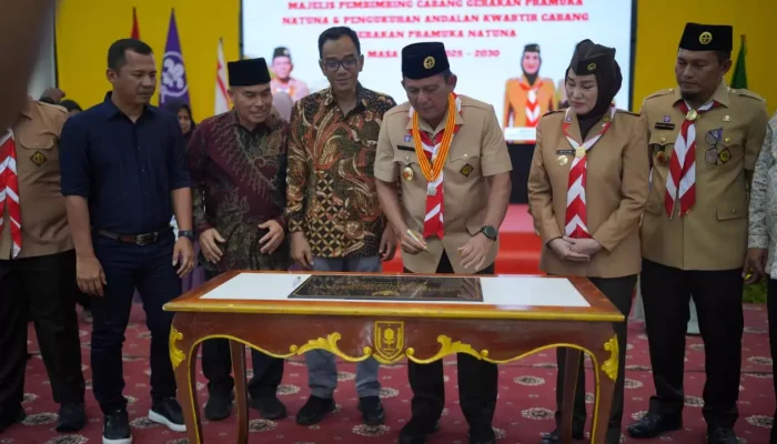 Seluruh Ibu Kota Kecamatan di Kepri Kini Listrik Nyala 24 Jam