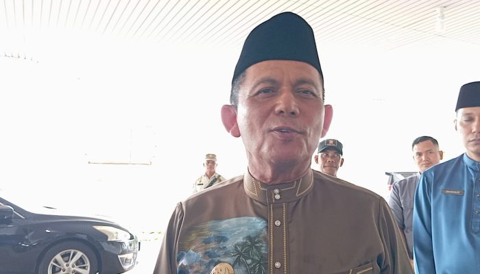 Gubernur Ansar Tegaskan Kawasan  Gurindam 12 Tetap Milik Publik, Dikelola Swasta Tidak Menyeluruh