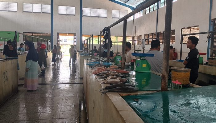 Cuaca Ekstrem, Harga Ikan Tongkol di Natuna Naik Drastis