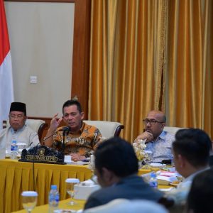DED Sudah Disiapkan, Monumen Bahasa Segera Dibangun di Pulau Penyengat