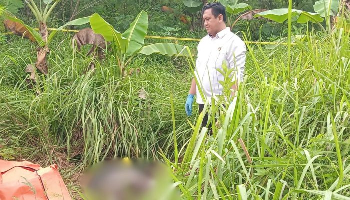 Empat Hari Menghilang, Lansia Ditemukan Tewas di Area Perkebunan 