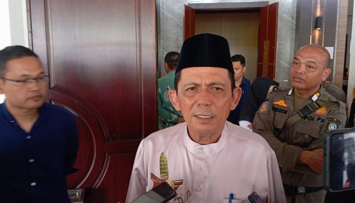 Upayakan FTZ Menyeluruh di Kepri, Gubernur Ansar Surati Presiden dan Temui Menkeu