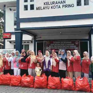TP PKK Tanjungpinang Serahkan Bantuan Kader Posyandu di Melayu Kota Piring
