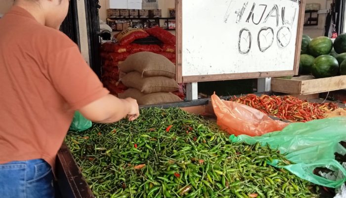 Harga Cabai Melonjak di Tanjungpinang, Cabai Rawit Capai Rp90 Ribu Per kg