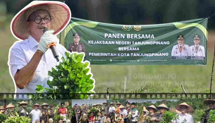 Panen Bersama Proyek Pertanian, Wawako : Kolaborasi Pemko-Kejari Kawal Program Tepat Sasaran