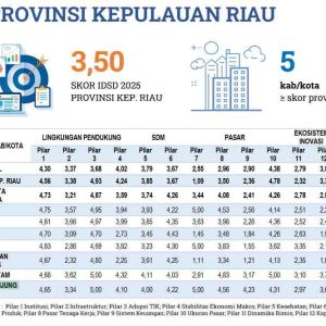 IDSD Kota Tanjungpinang Tahun 2025 Tertinggi di Kepri