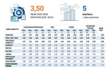 IDSD Kota Tanjungpinang Tahun 2025 Tertinggi di Kepri