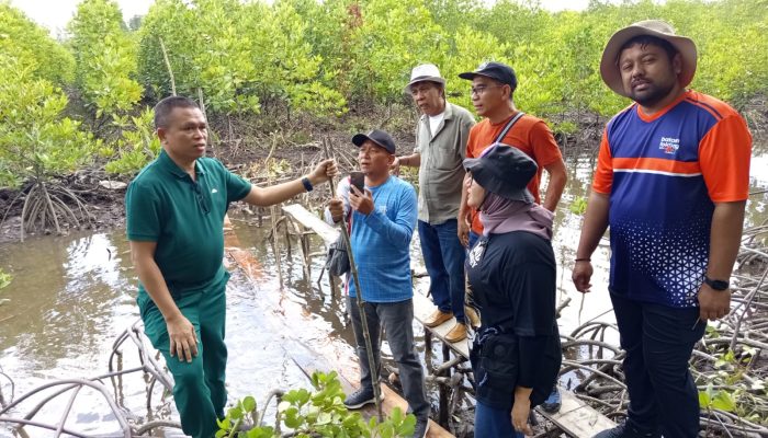 KJK Pastikan Kesiapan Lokasi Penanaman Mangrove di Sungai Tiram Desa Penaga Bintan 