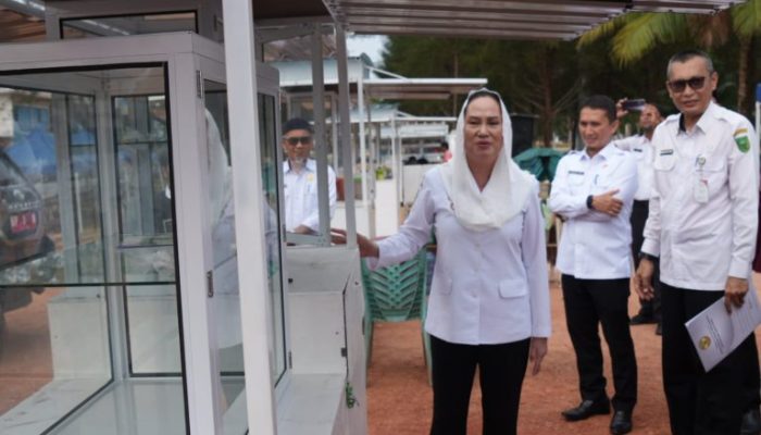 Pemkab Natuna Serahkan 25 Unit Gerobak Jualan Untuk Pelaku UMKM