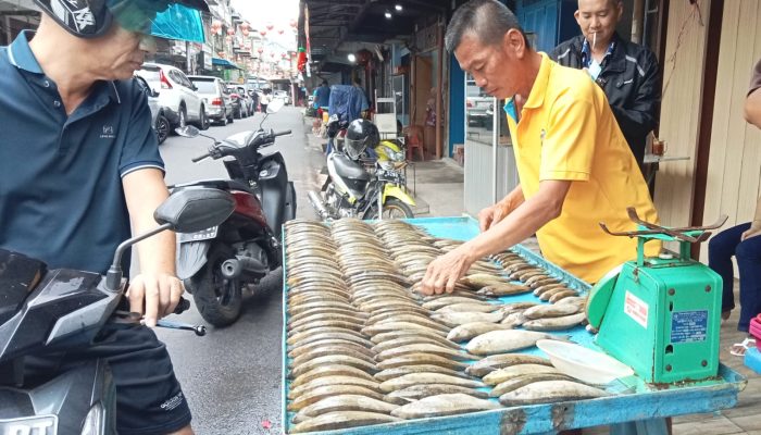 Penjual Ikan Dingkis dan Takjil Meriahkan Imlek dan Ramadhan di Tanjungpinang