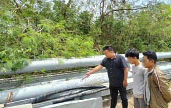 Nekat Curi Kabel Tembaga di PT BAI, Dua Pencuri Kesetrum dan Dibekuk Polisi