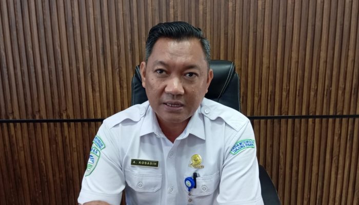 Curah Hujan Rendah, BMKG: Karhutla di Bintan Meningkat 