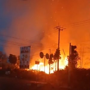 Januari-Maret 2026, Karhutla di Tanjungpinang Capai 130 Kasus