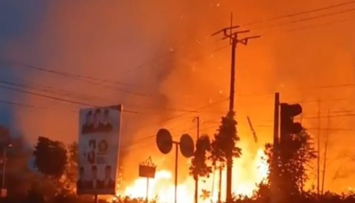 Januari-Maret 2026, Karhutla di Tanjungpinang Capai 130 Kasus