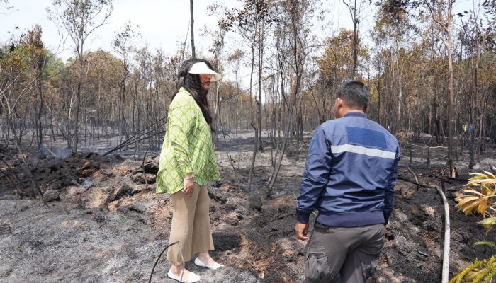 Ariastuty Tinjau Kebakaran Hutan, Imbau Masyarakat Lapor Jika Ditemukan Pembakar Lahan