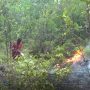 Tiga Hari Berturut Turut Kebakaran Lahan Terjadi di Tanjungpinang