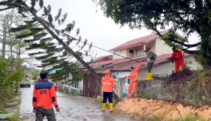BPBD Tanjungpinang dan Kepri Tangani Pohon Tumbang Timpa Kabel Listrik 