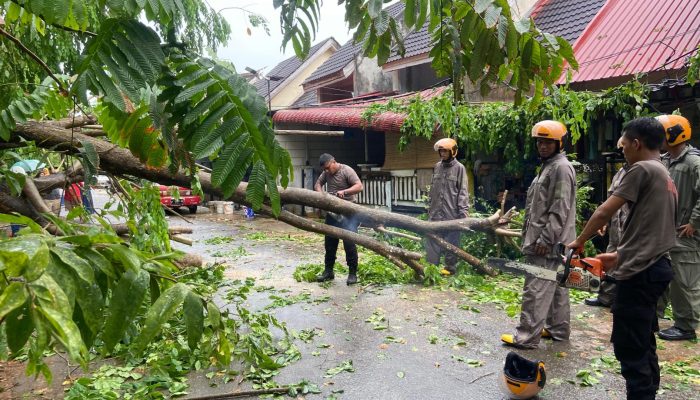 Satbrimob Polda Kepri Evakuasi Pohon Tumbang Timpa Atap Rumah Warga
