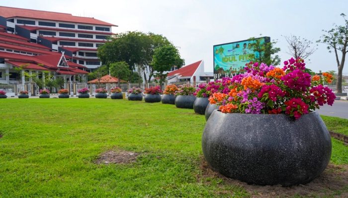 Percantik Kota, BP Batam Tata Puluhan Pot Tanaman Bougenville di Sejumlah Ruas Jalan
