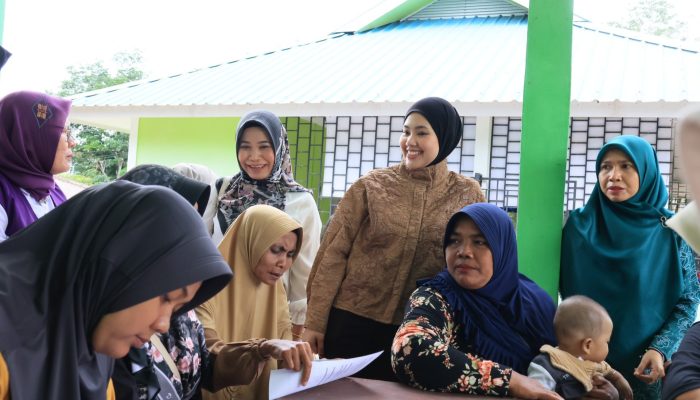 Hafizha Rahmadhani Resmi Buka Gerakan Aktifkan Posyandu 2026 di Bintan