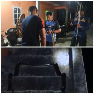 Damkar Natuna Evakuasi Ular Piton di Mess Putri STAI Ranai Kota