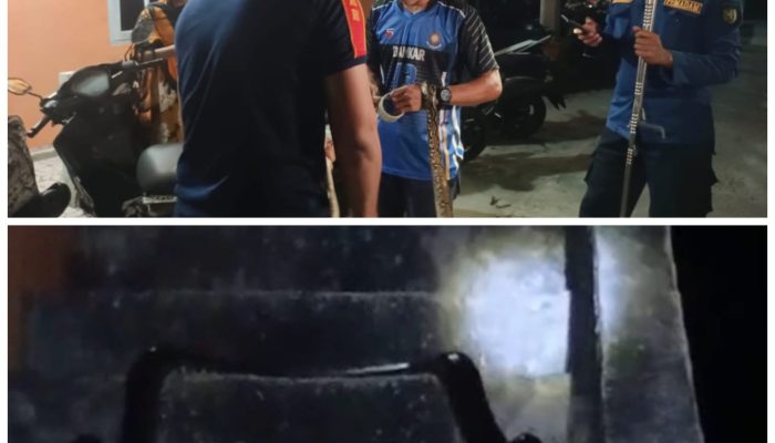 Damkar Natuna Evakuasi Ular Piton di Mess Putri STAI Ranai Kota