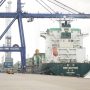 Triwulan I 2026, Volume Bongkar Muat Peti Kemas di Batam Meningkat 12 Persen