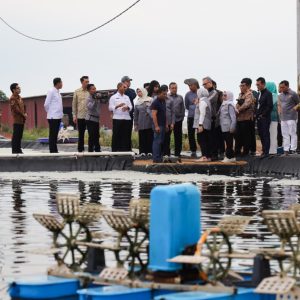 Komisi IX DPR RI Reses di Kepri, Tinjau Tambak Udang PT Win Win Shrimp  