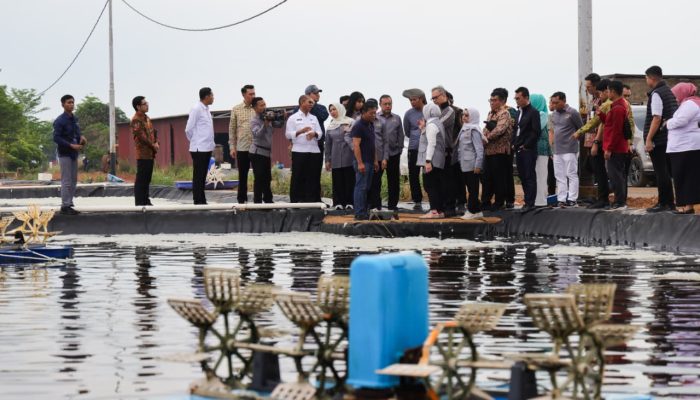 Komisi IX DPR RI Reses di Kepri, Tinjau Tambak Udang PT Win Win Shrimp  