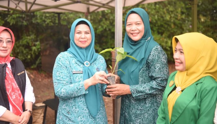Pemprov Kepri Mulai Salurkan Ribuan Bibit Cabai Untuk Masyarakat 