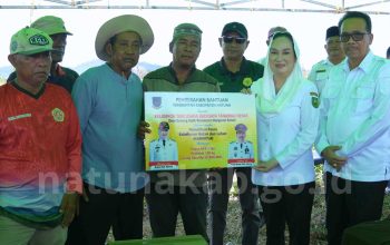 Terdampak Karhutla, 3 Kelompok Petani Nanas Terima Bantuan Bupati Natuna