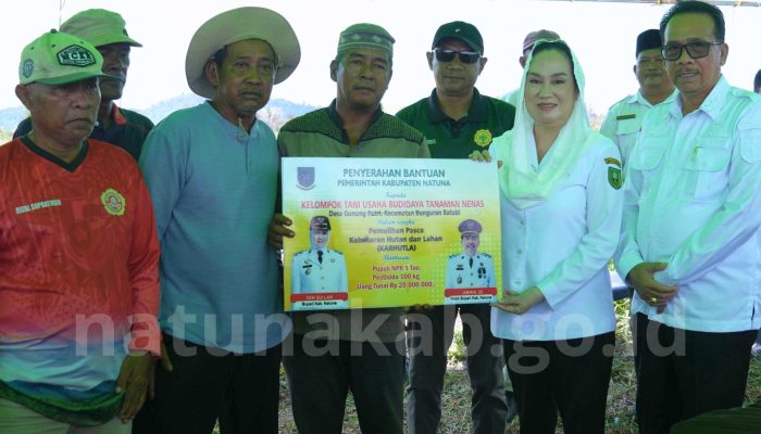 Terdampak Karhutla, 3 Kelompok Petani Nanas Terima Bantuan Bupati Natuna