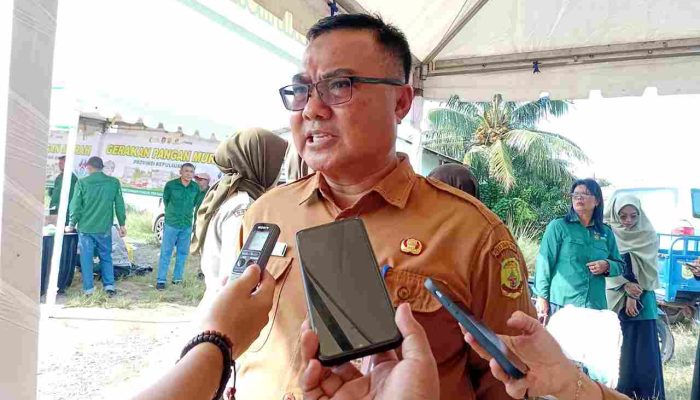 DPPP Tanjungpinang: Stok Sapi dan Kambing Mencukupi Untuk Iduladha 1447 H