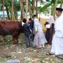 Gubernur Kepri Jadi Khotib Sholat Iduladha 1447 H di Masjid Al Fudhola Batam