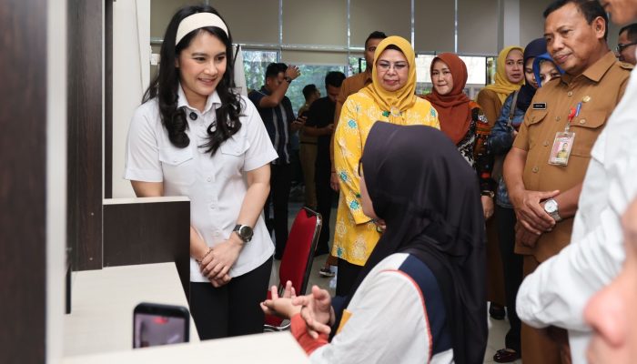 Wamendukbangga Tinjau Pelayanan KB di Puskesmas Batu X Tanjungpinang 