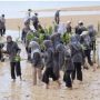 Wako Batam Bersama Mahasiswa UNRIKA Tanam 2000 Bibit Mangrove di Nongsa 