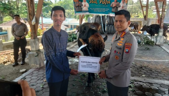 Iduladha 1447 H, Polresta Tanjungpinang Distribusikan 21 Hewan Kurban 